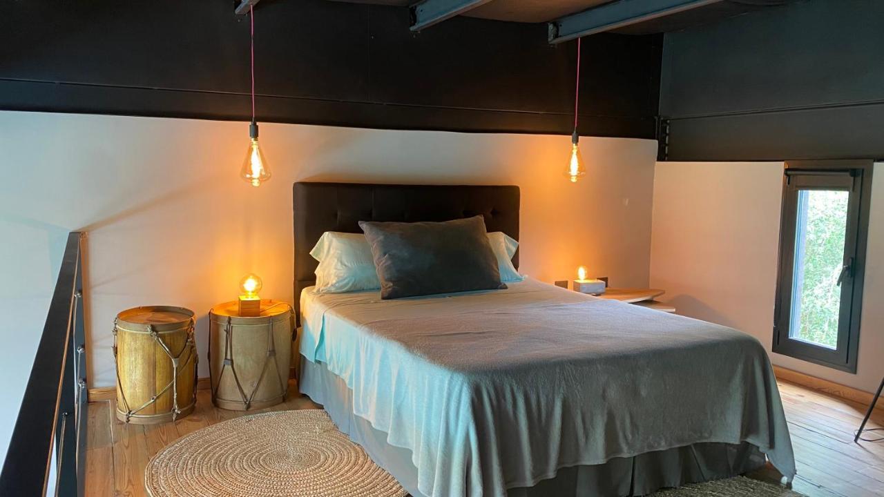 Apartment Lofts De Freixas